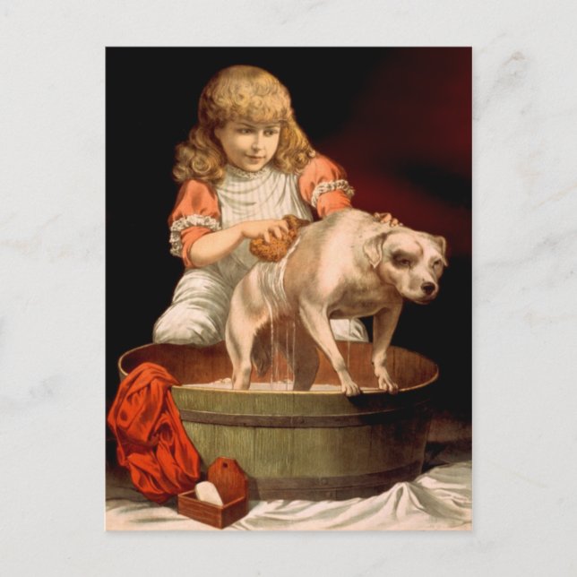 Little Girl Bathing Her Dog Postcard (Front)