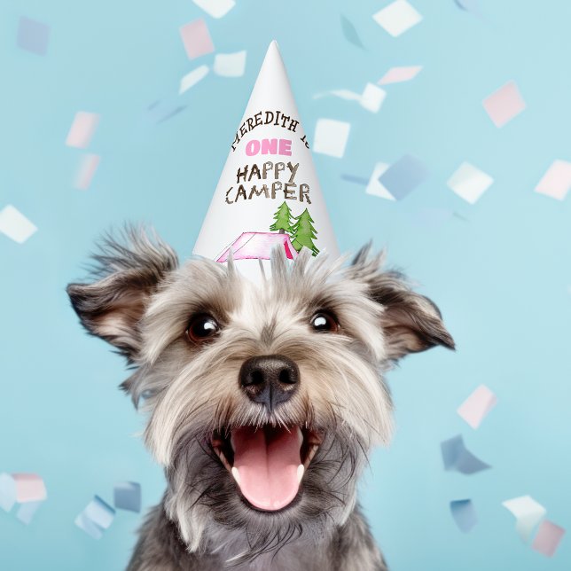 Little Girl One Happy Camper First Birthday Party Party Hat (Creator Uploaded)