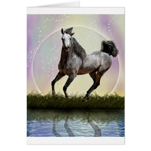 Little girls dream cards (Front)