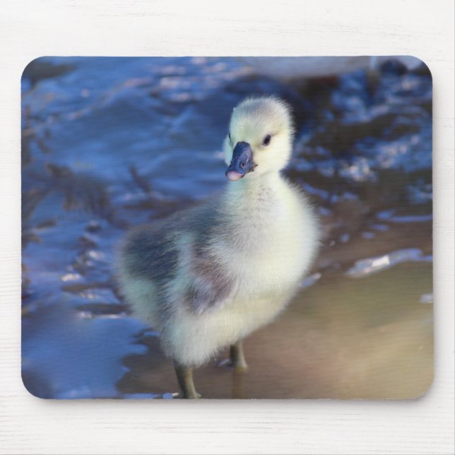 Little Gosling Mousepad (Front)