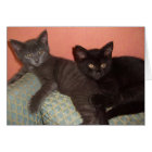 Little Gray and Little Black