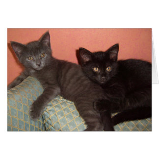 Little Gray and Little Black Cards