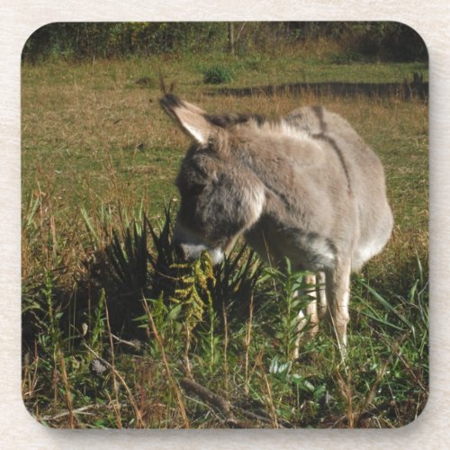 Little gray Donkey w  wildflowers Coaster