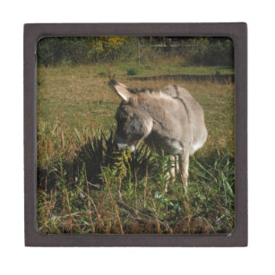 Little gray Donkey w / wildflowers Jewelry Box