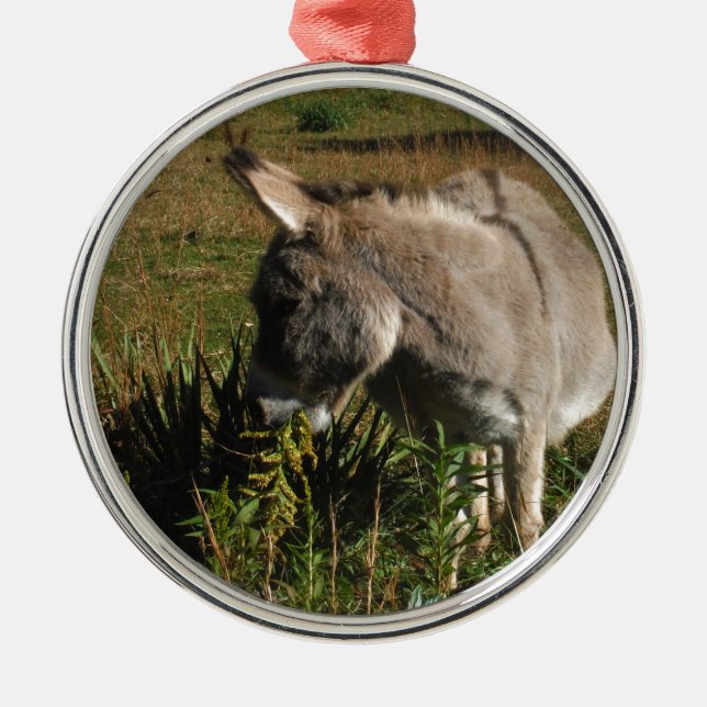 Little gray Donkey w / wildflowers Metal Ornament (Front)
