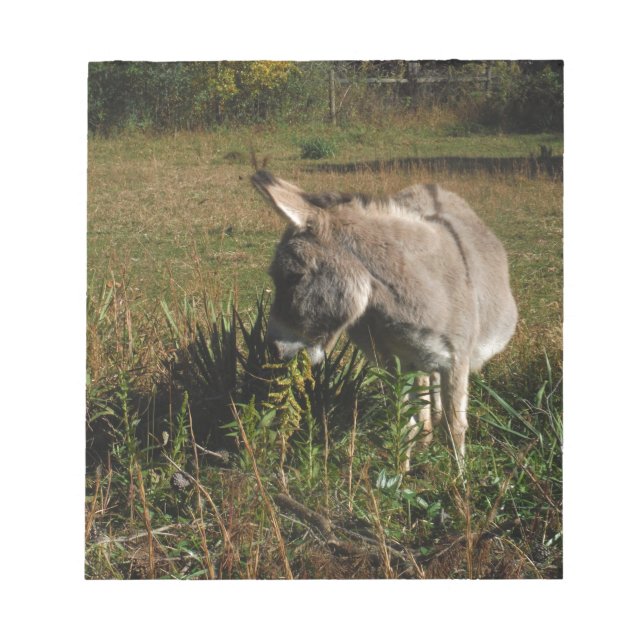 Little gray Donkey w / wildflowers Notepad (Front)