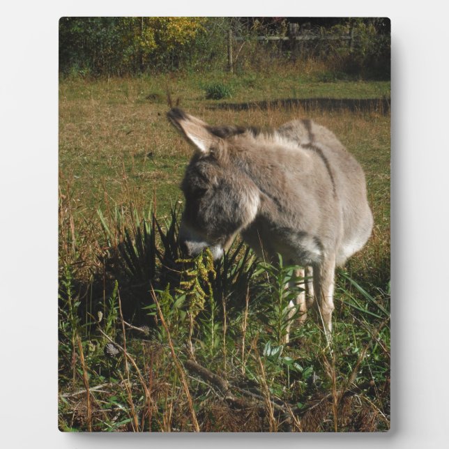 Little gray Donkey w / wildflowers Plaque (Front)