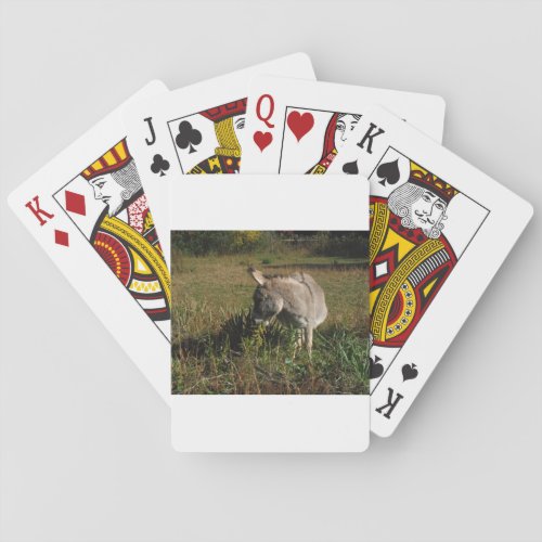 Little gray Donkey w  wildflowers Poker Cards