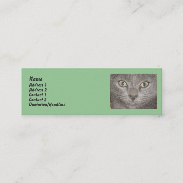Little Gray Kitten profile cards (Front)