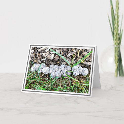 Little Gray Mushrooms In Garden After Rainy Night Card