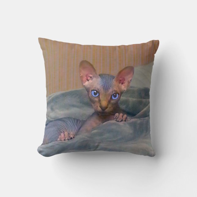 Little gray Sphynx kitten Throw Pillow (Front)