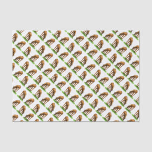 Little Grazing Horse Foal Tissue Paper