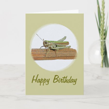 Little Green Grasshopper Cartoon Birthday Card