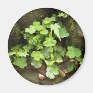 Little greens magnet