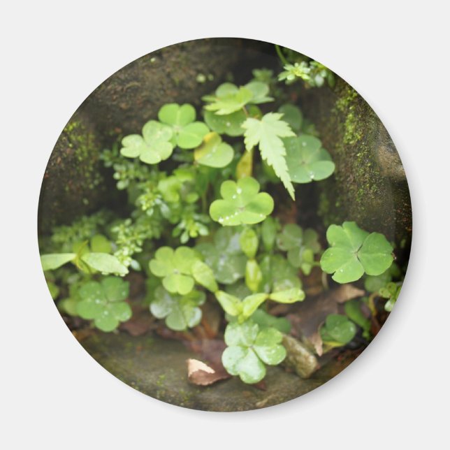 Little greens magnet (Front)