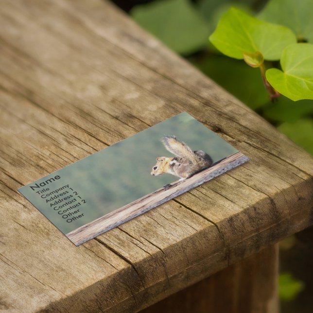 Little Ground Squirrel Nature Photo Business Card (In Situ Outside)