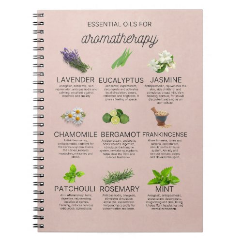 Little guide to essential oils notebook