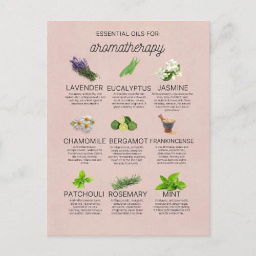 Little guide to essential oils  postcard