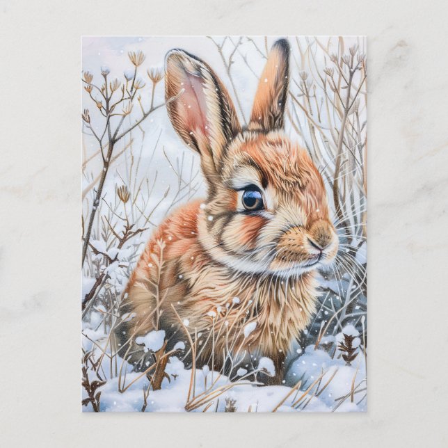 Little Hare in Snowy Field. Rabbit Bunny Postcard (Front)