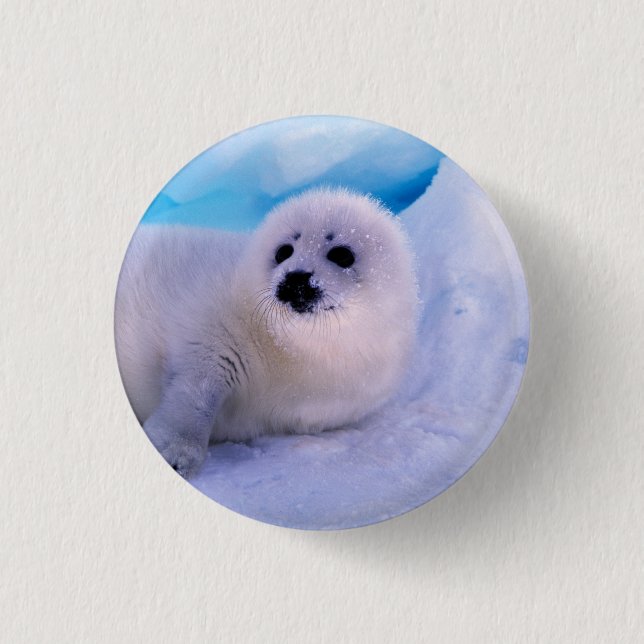 Little Harp Seal Pup Covered in Snowflakes Button (Front)