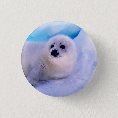 Little Harp Seal Pup Covered in Snowflakes Button