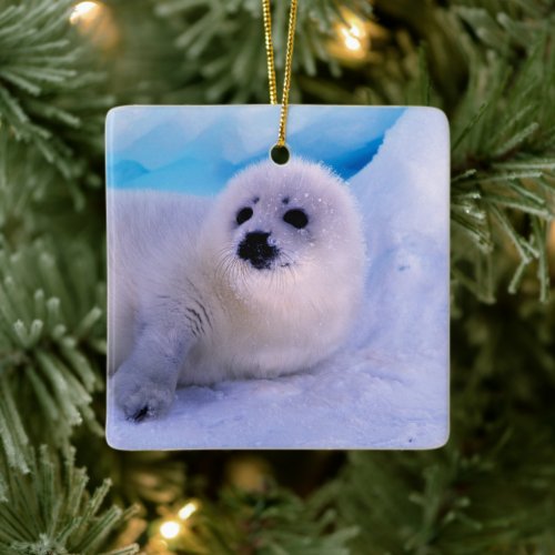 Little Harp Seal Pup Covered in Snowflakes Ceramic Ornament