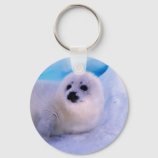 Little Harp Seal Pup Covered in Snowflakes Keychain (Front)