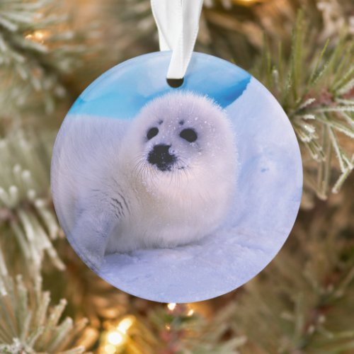 Little Harp Seal Pup Covered in Snowflakes Ornament