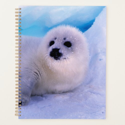 Little Harp Seal Pup Covered in Snowflakes Planner