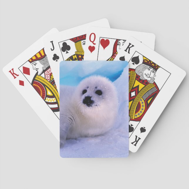 Little Harp Seal Pup Covered in Snowflakes Poker Cards (Back)