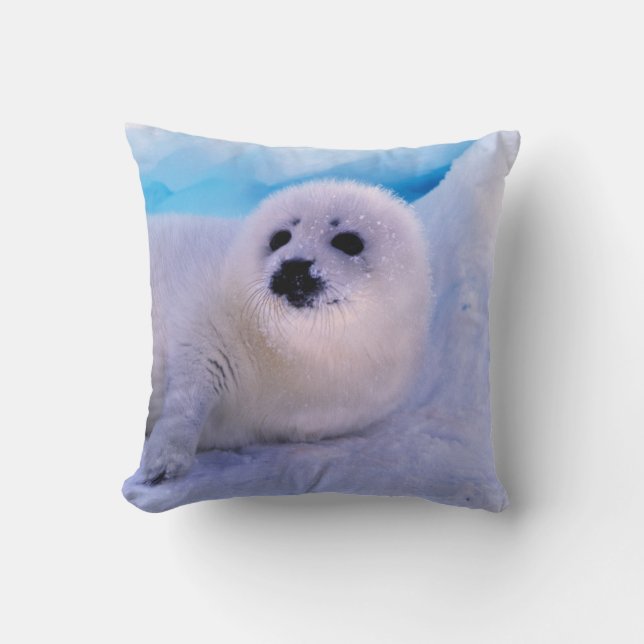Little Harp Seal Pup Covered in Snowflakes Throw Pillow (Front)