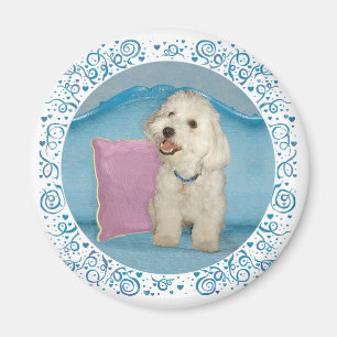 Little Havanese on Turquoise Sofa Magnet