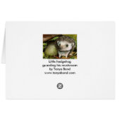 Little hedgehog cards (Back Horizontal)