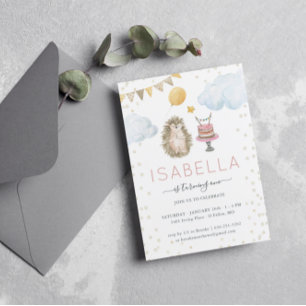 Little Hedgehog First Birthday Party Invitation