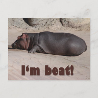 Little Hippo Tells All Postcard