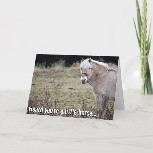 Little Horse Get Well Soon Card