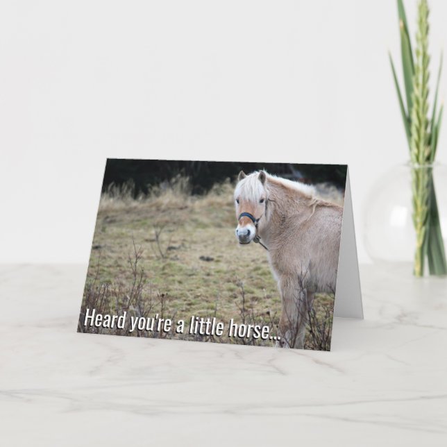 Little Horse Get Well Soon Card (Front)