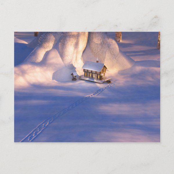 Little House in the Snow Postcard