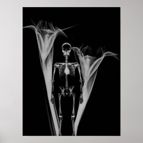 Little Human X_Ray Skeleton  Flowers _ BW Poster