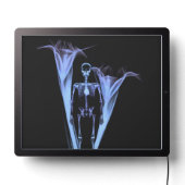 Little Human X-Ray Skeleton & Flowers - Blue LED Sign (Lights Off)