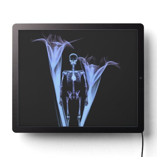 Little Human X-Ray Skeleton & Flowers - Blue LED Sign (Lights Off)