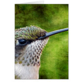 Little Hummer (Front)