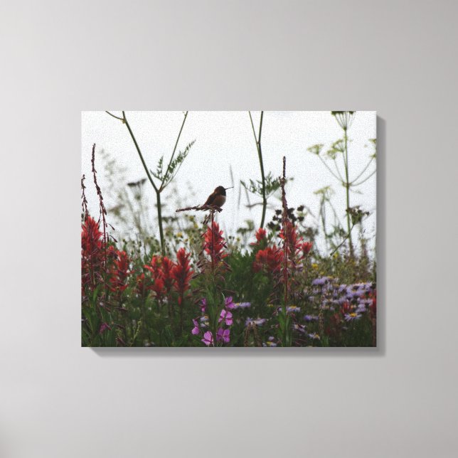 little Hummingbird Canvas Print (Front)