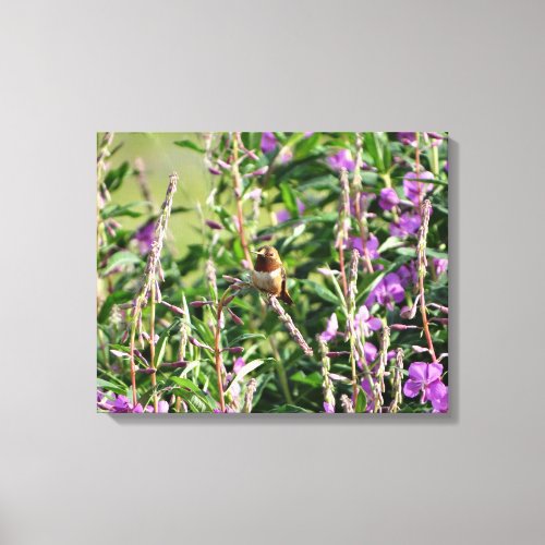 little Hummingbird Canvas Print