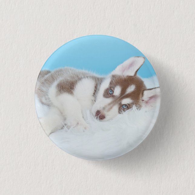 Little Husky Puppy Laying on a Blanket Button (Front)