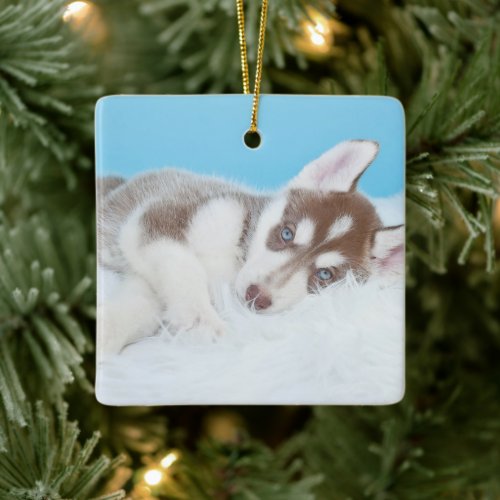 Little Husky Puppy Laying on a Blanket Ceramic Ornament