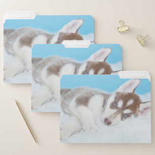 Little Husky Puppy Laying on a Blanket File Folder