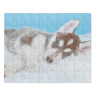 Little Husky Puppy Laying on a Blanket Jigsaw Puzzle