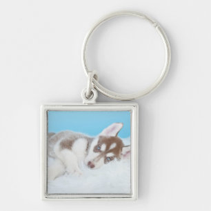 Little Husky Puppy Laying on a Blanket Keychain