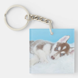 Little Husky Puppy Laying on a Blanket Keychain